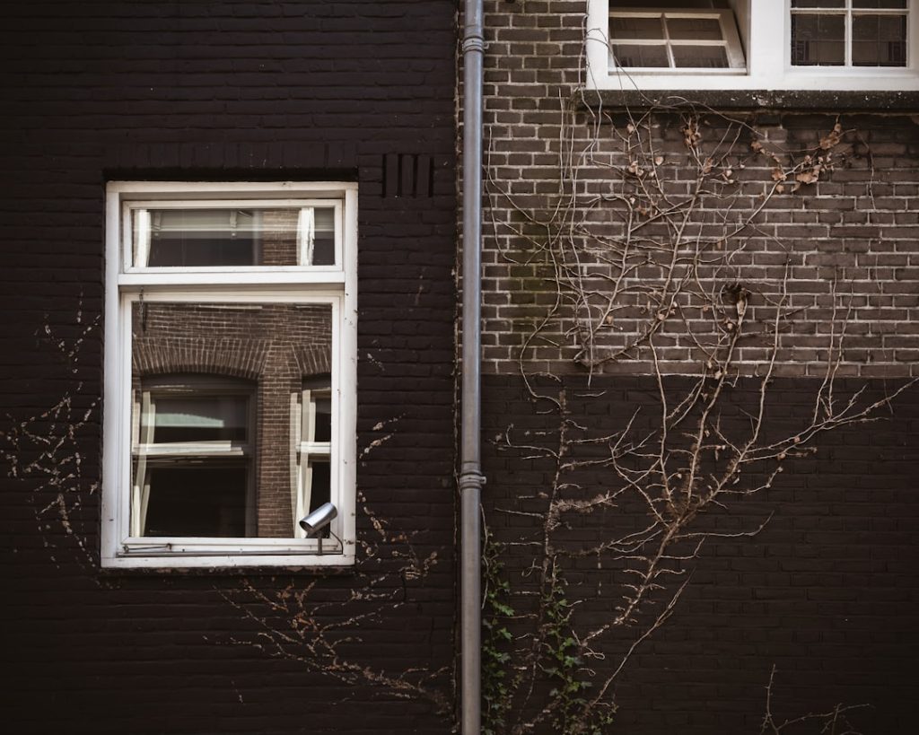 Photo wordpress website tilburg
