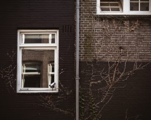 Photo wordpress website tilburg